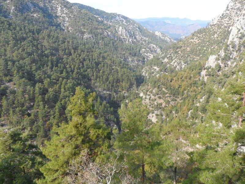 Muğla Yılanlı Çakmak — fotoğraf 1